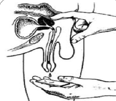 Massaggia la prostata per ottenere secrezioni