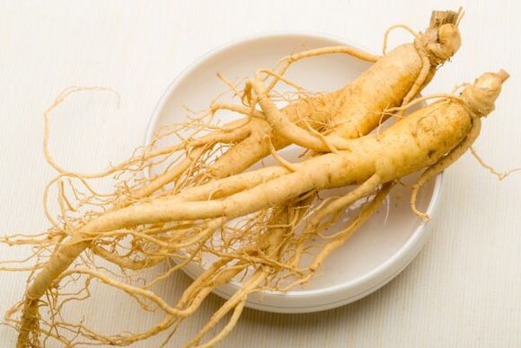 Radice di ginseng per potenza